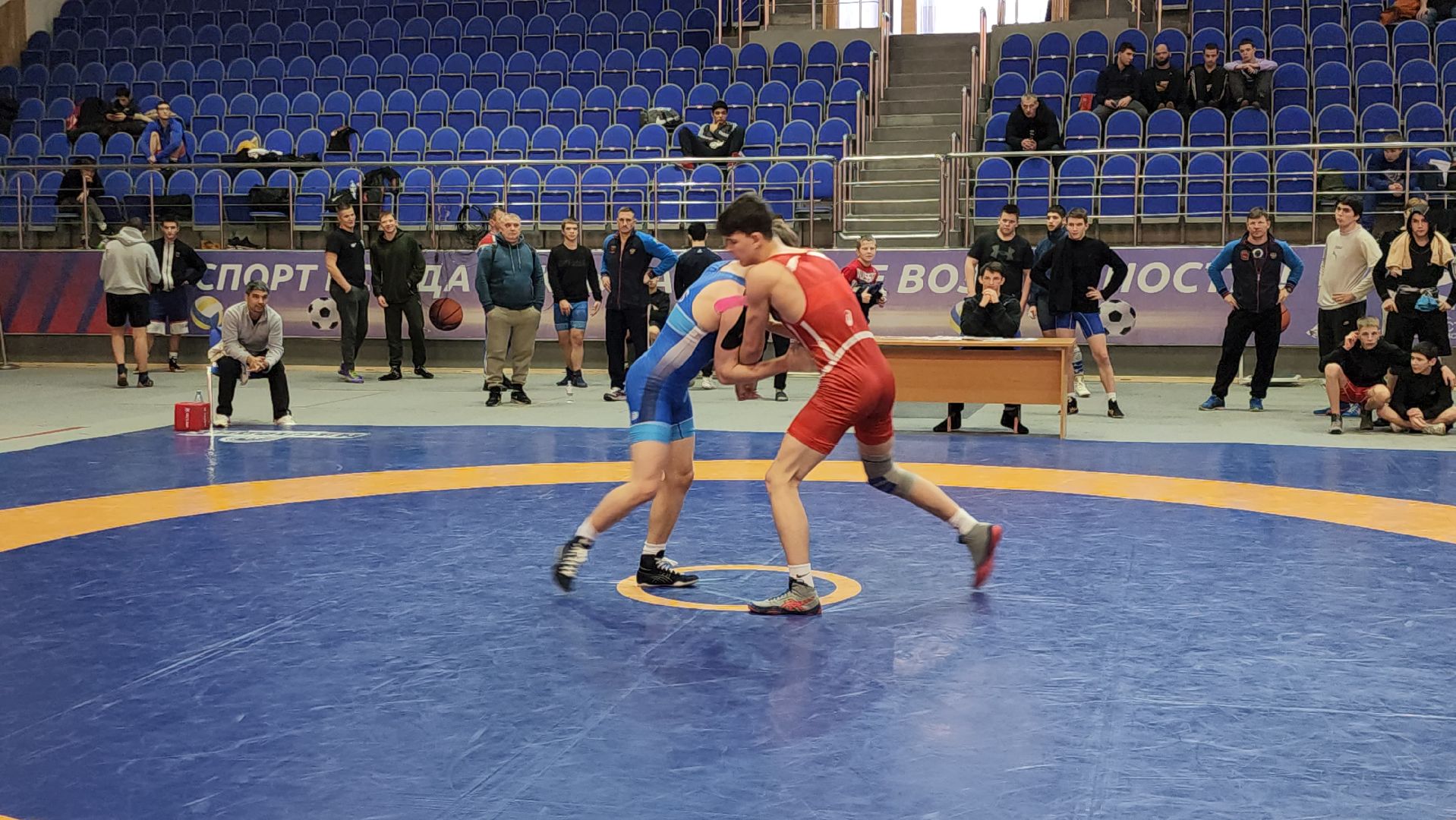 подольск, борьба, спорт,