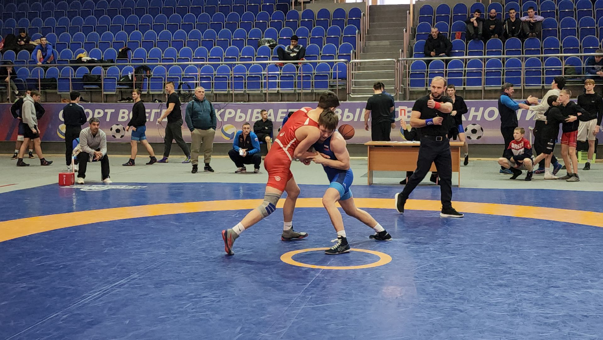 подольск, борьба, спорт,