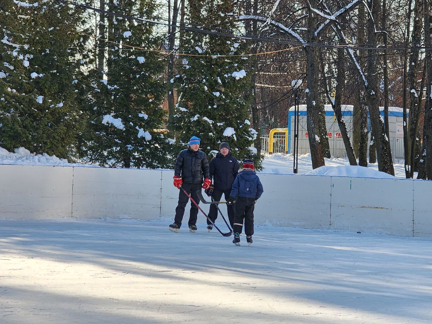 хоккейная команда, металлург,хоккей в парке, видное, спорт подмосковья,