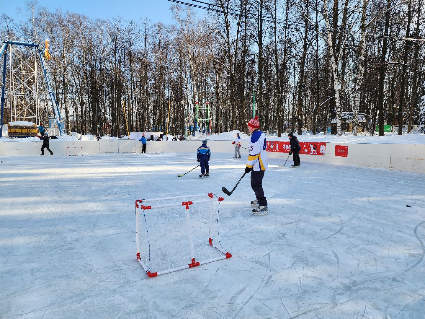хоккейная команда, металлург,хоккей в парке, видное, спорт подмосковья,