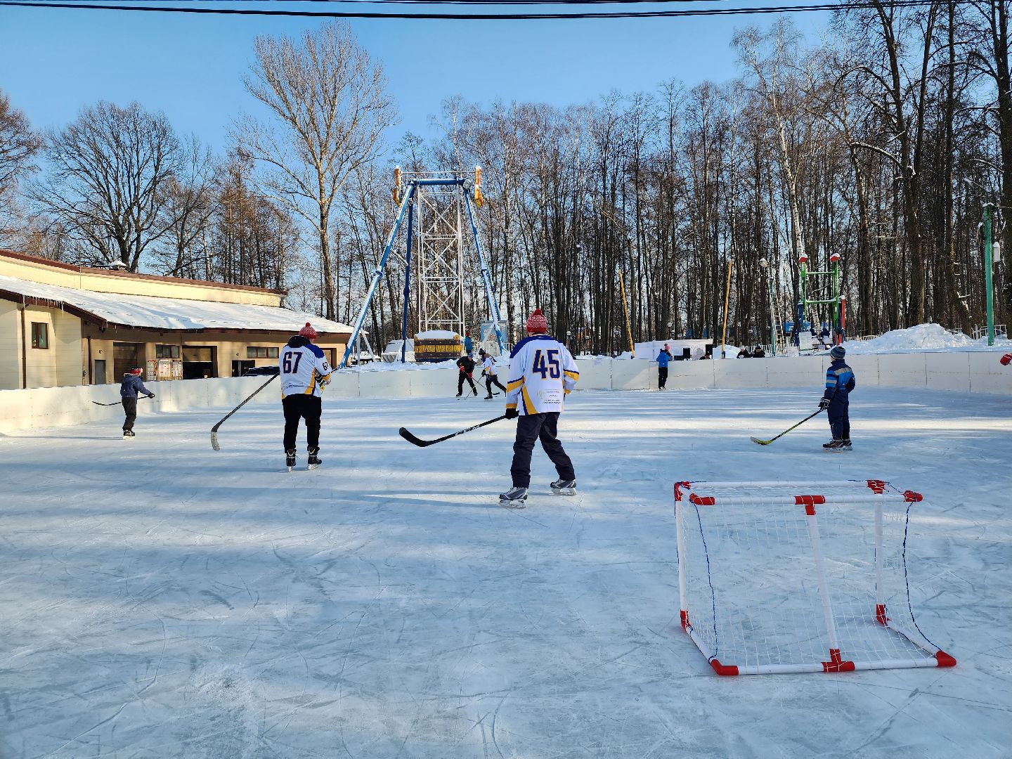 хоккейная команда, металлург,хоккей в парке, видное, спорт подмосковья,