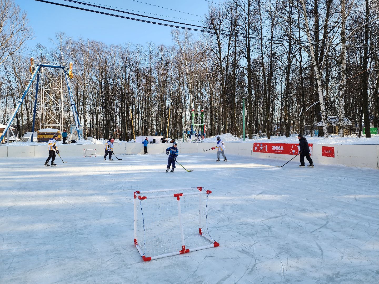 хоккейная команда, металлург,хоккей в парке, видное, спорт подмосковья,