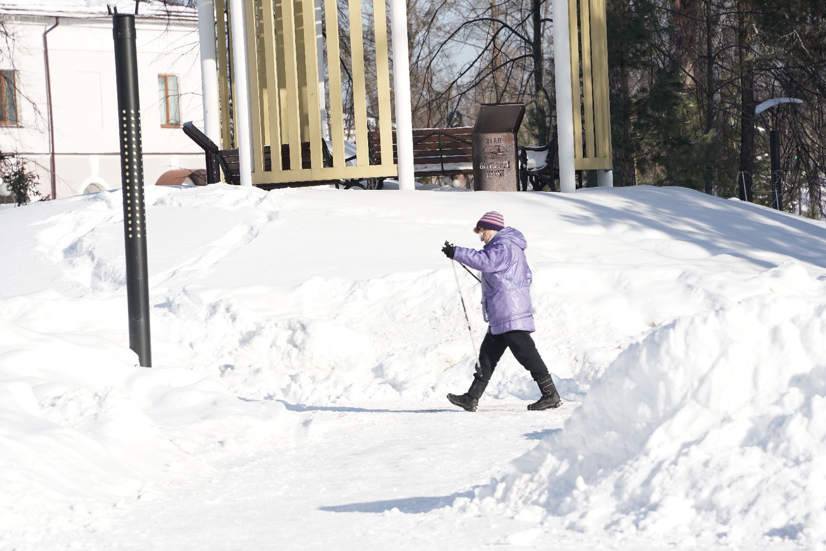Рошаль, стартуют все, парк Крестов брод, зима в Подмомсковье, зима в парке, Большая Шатура, скандинавская ходьба, футбол на снегу, хоккей на снегу, спорт, активное долголетие,