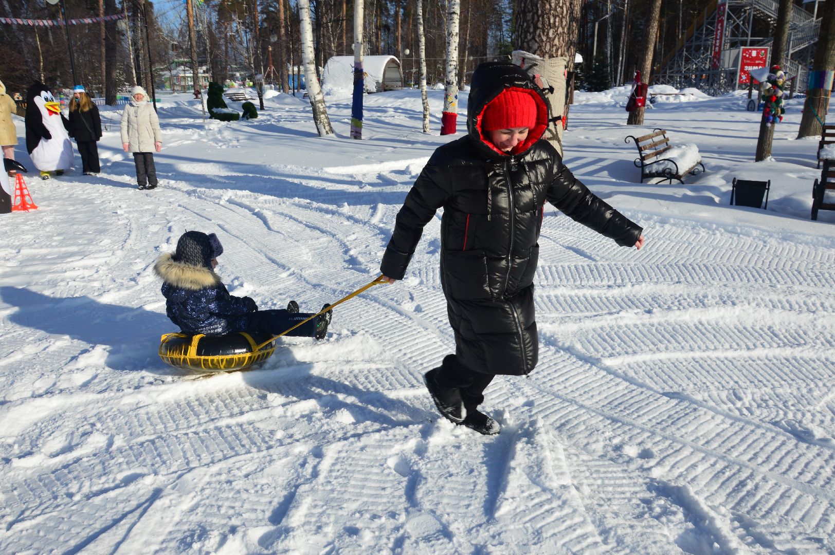 шатура, кто вперед, стартуют все, парки подмосковья, зима в подмомсковье, зима в парках, эстафета,