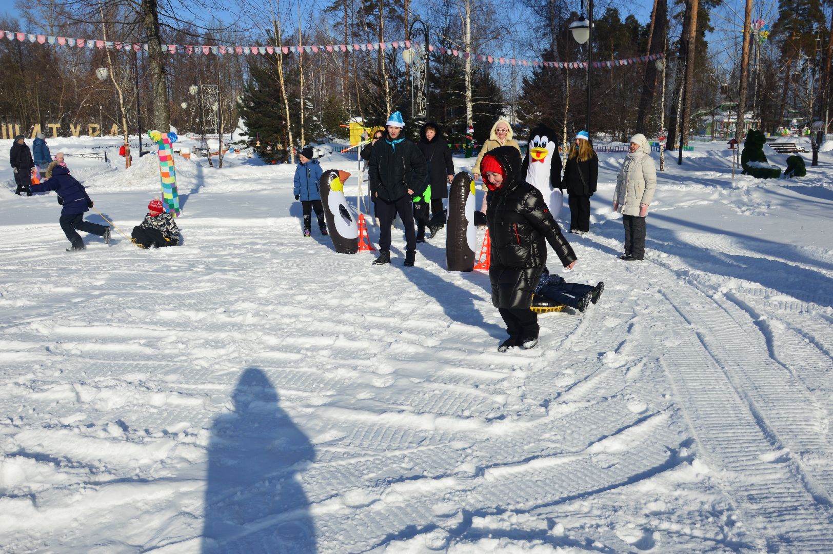шатура, кто вперед, стартуют все, парки подмосковья, зима в подмомсковье, зима в парках, эстафета,
