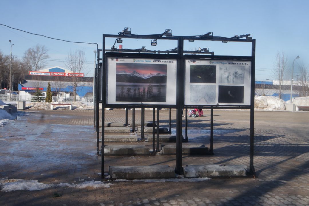 Пущино, фотовыставки, наука
