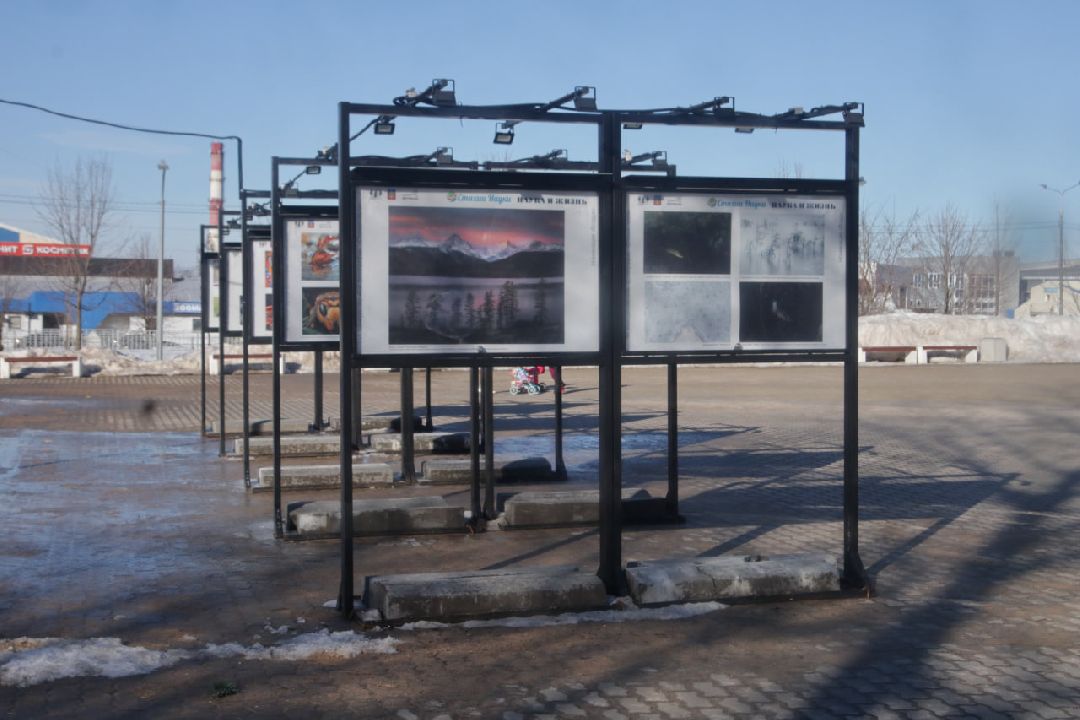 Пущино, фотовыставки, наука