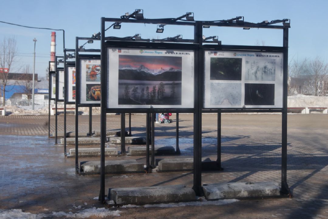 Пущино, фотовыставки, наука