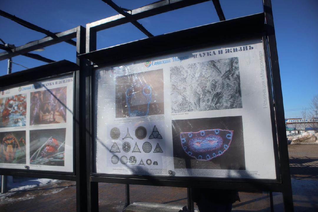 Пущино, фотовыставки, наука