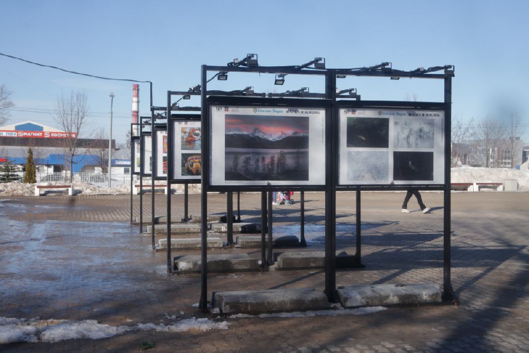 Пущино, фотовыставки, наука