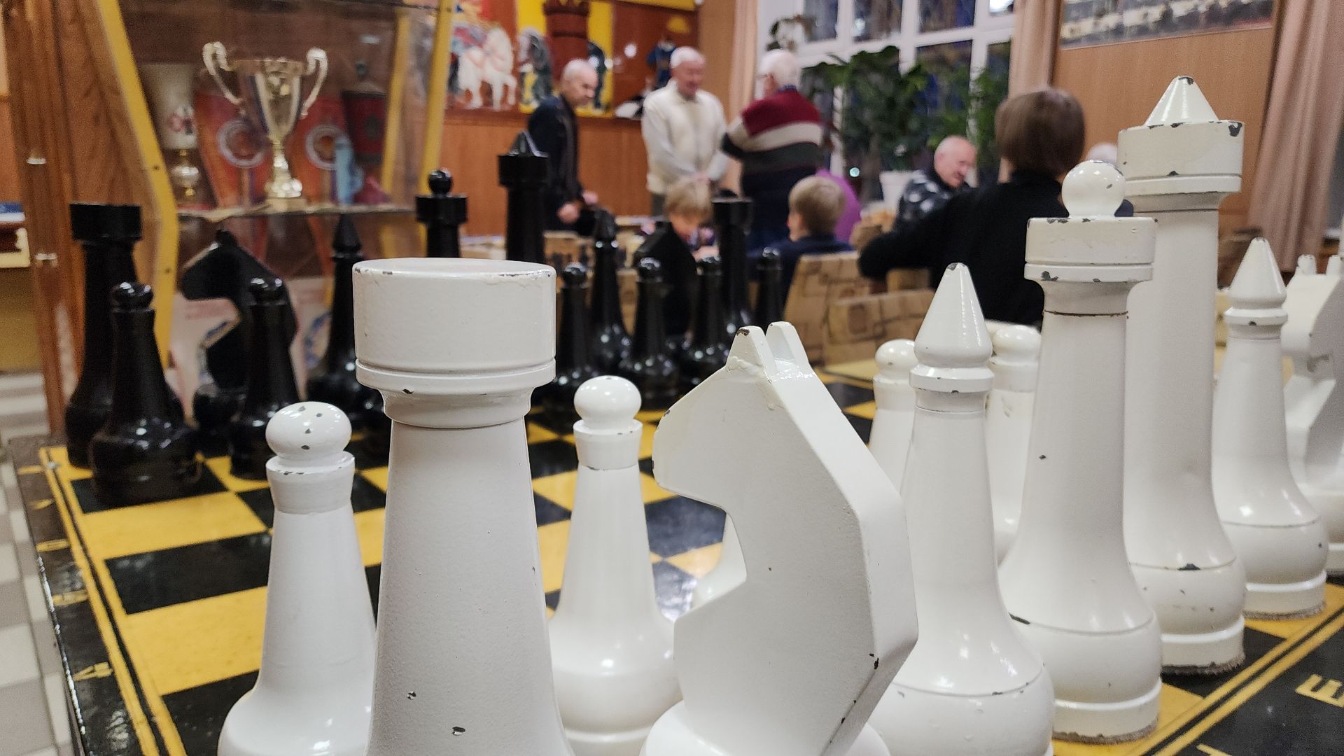 спорт, спорт в подмосковье, электросталь, электросталь спортивная, шашки, клуб, шахматный клуб, турнир, первенство,