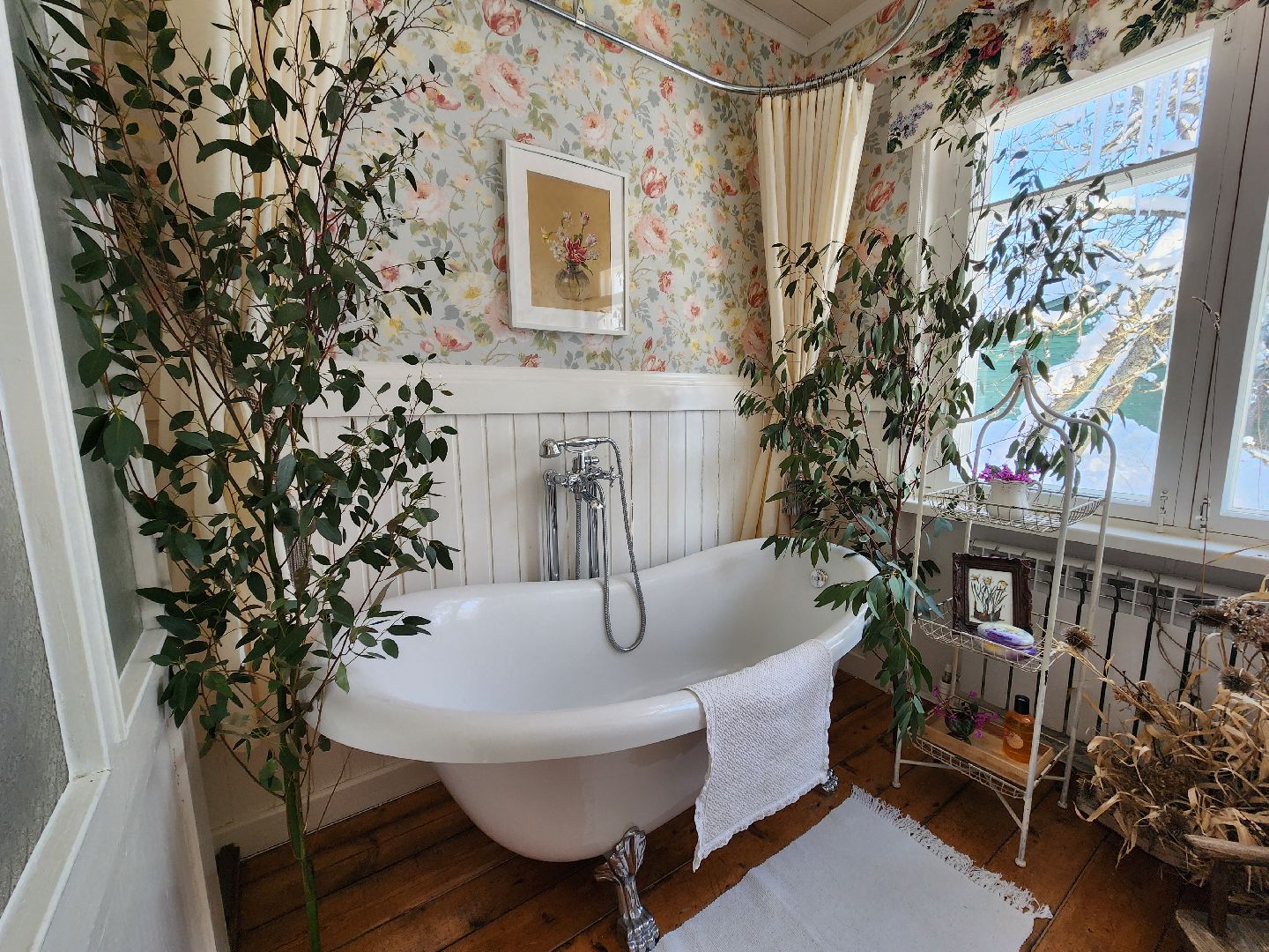 дача, 19 век, место притяжения,