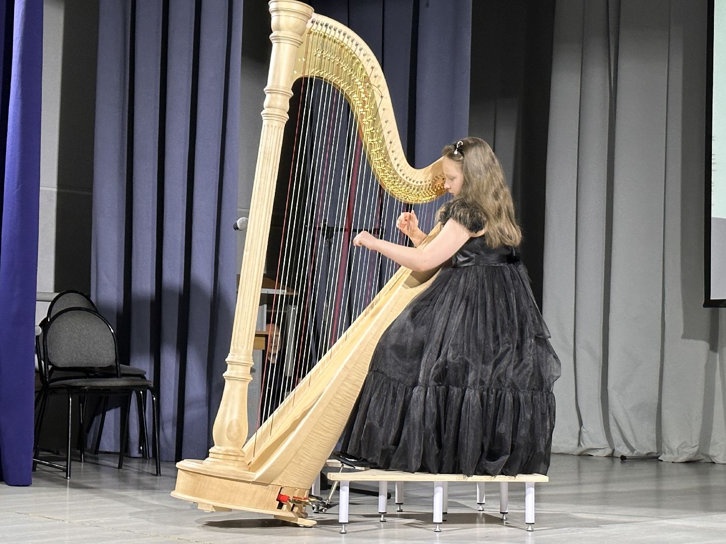 Музыкальная мозаика, Арфа, Юные таланты,