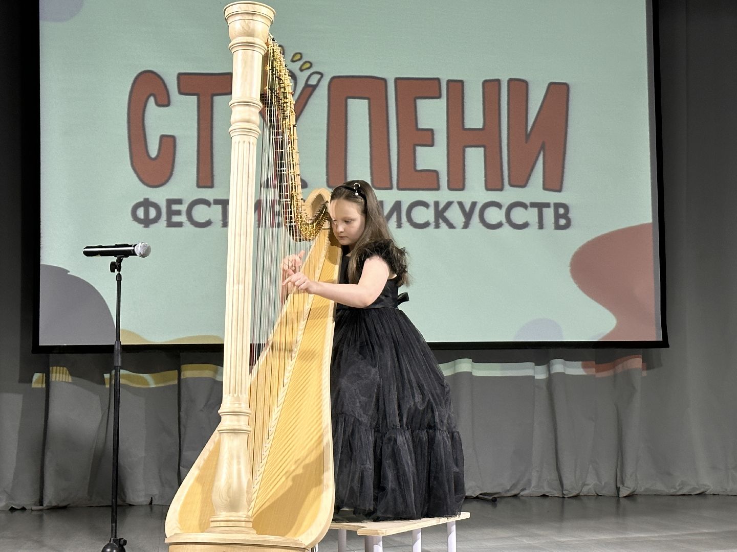 Музыкальная мозаика, Арфа, Юные таланты,