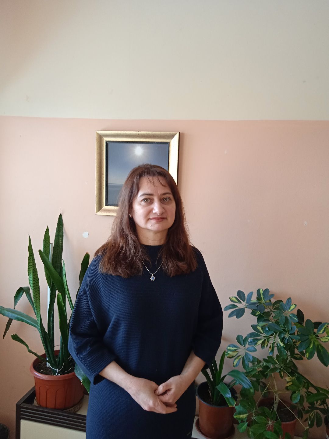 учитель, звание, педагог, Жуковский