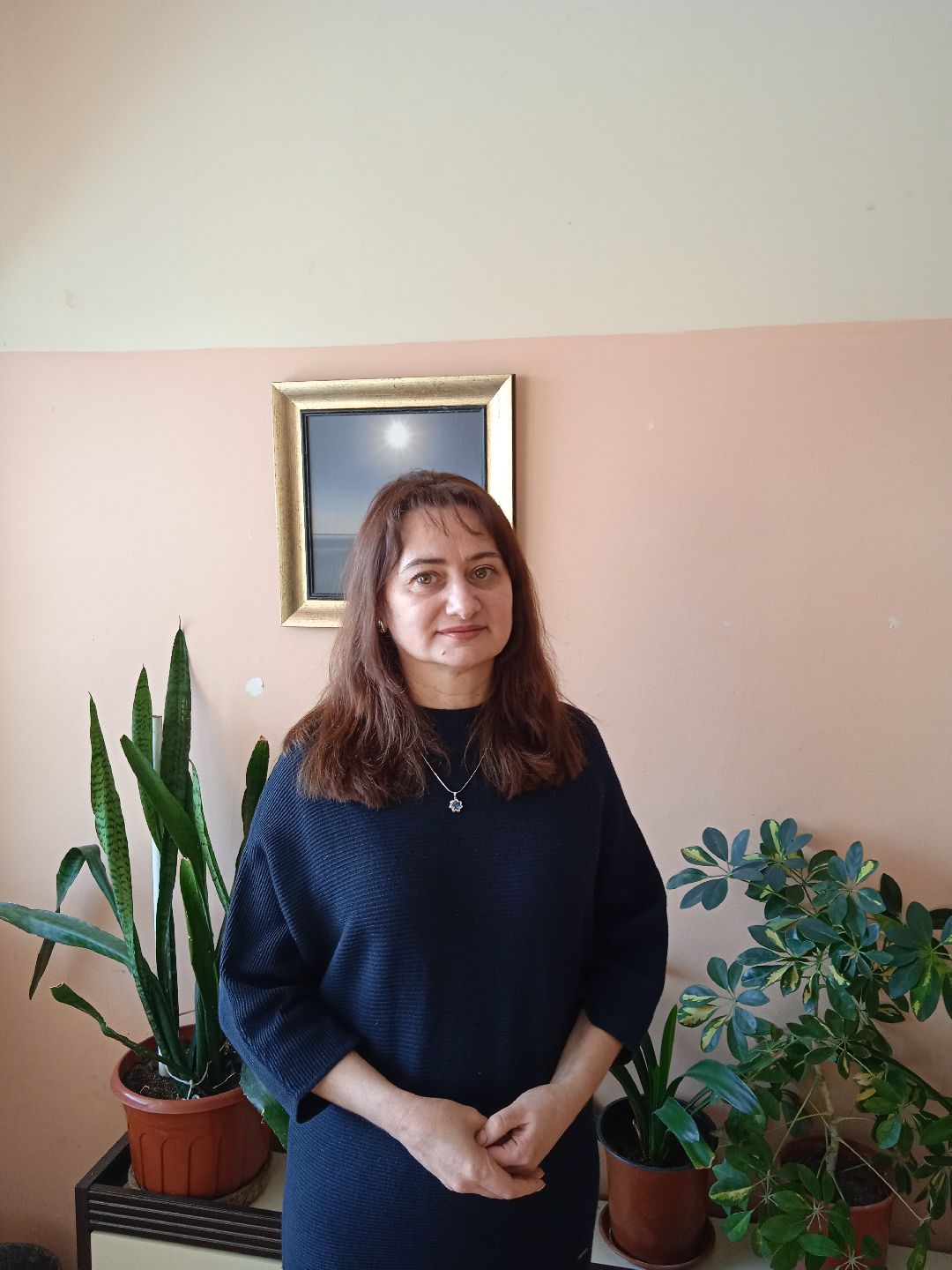 учитель, звание, педагог, Жуковский