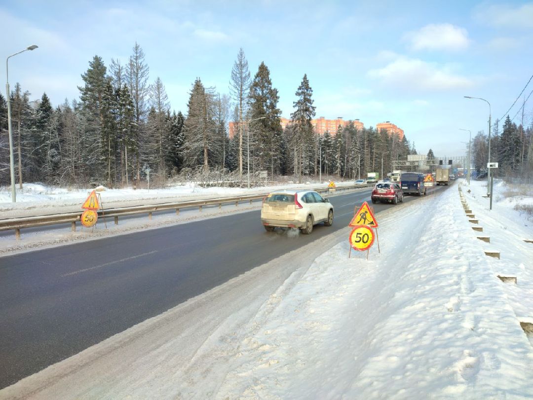 Звенигород, общество