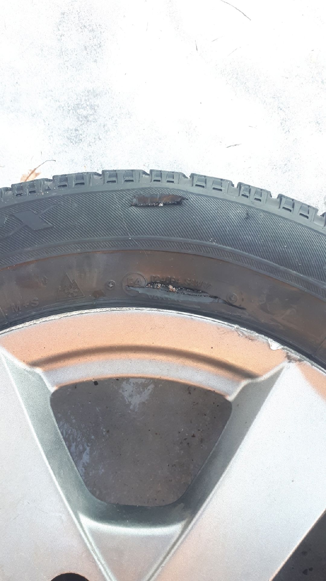 Звенигород, общество