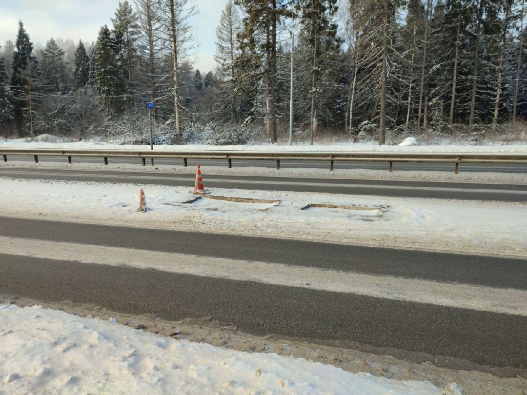 Звенигород, общество