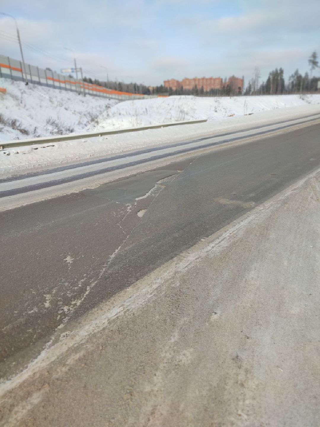 Звенигород, общество