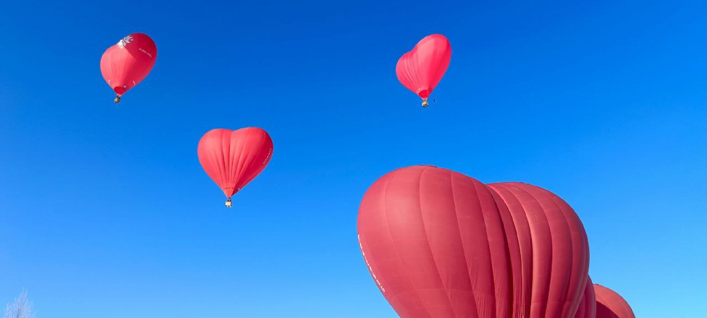 Дмитров, Фестиваль сердец, Клуб Аэровальс,