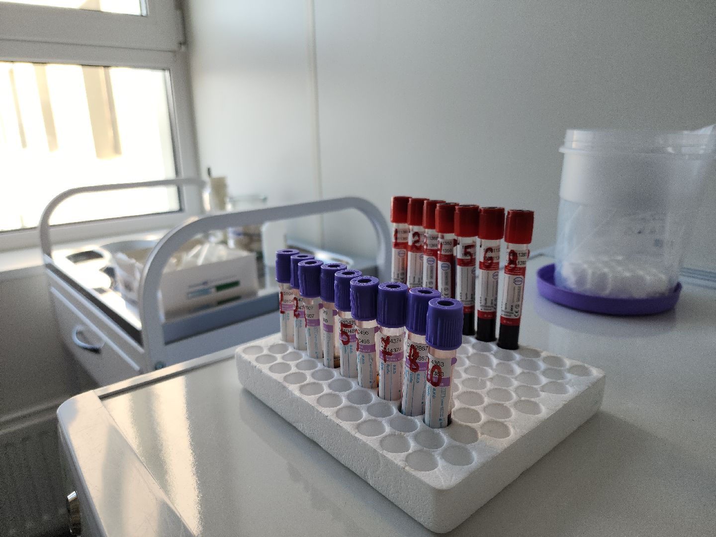 коломна, медицина, день семейного здоровья,