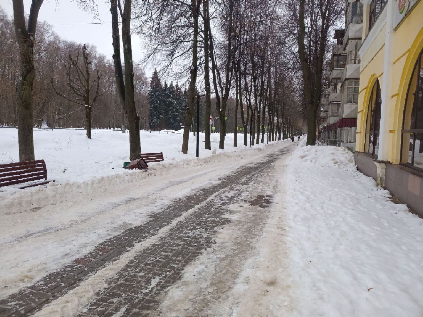 пущино, гололед, погода, гололед, подмосковье, дождь,