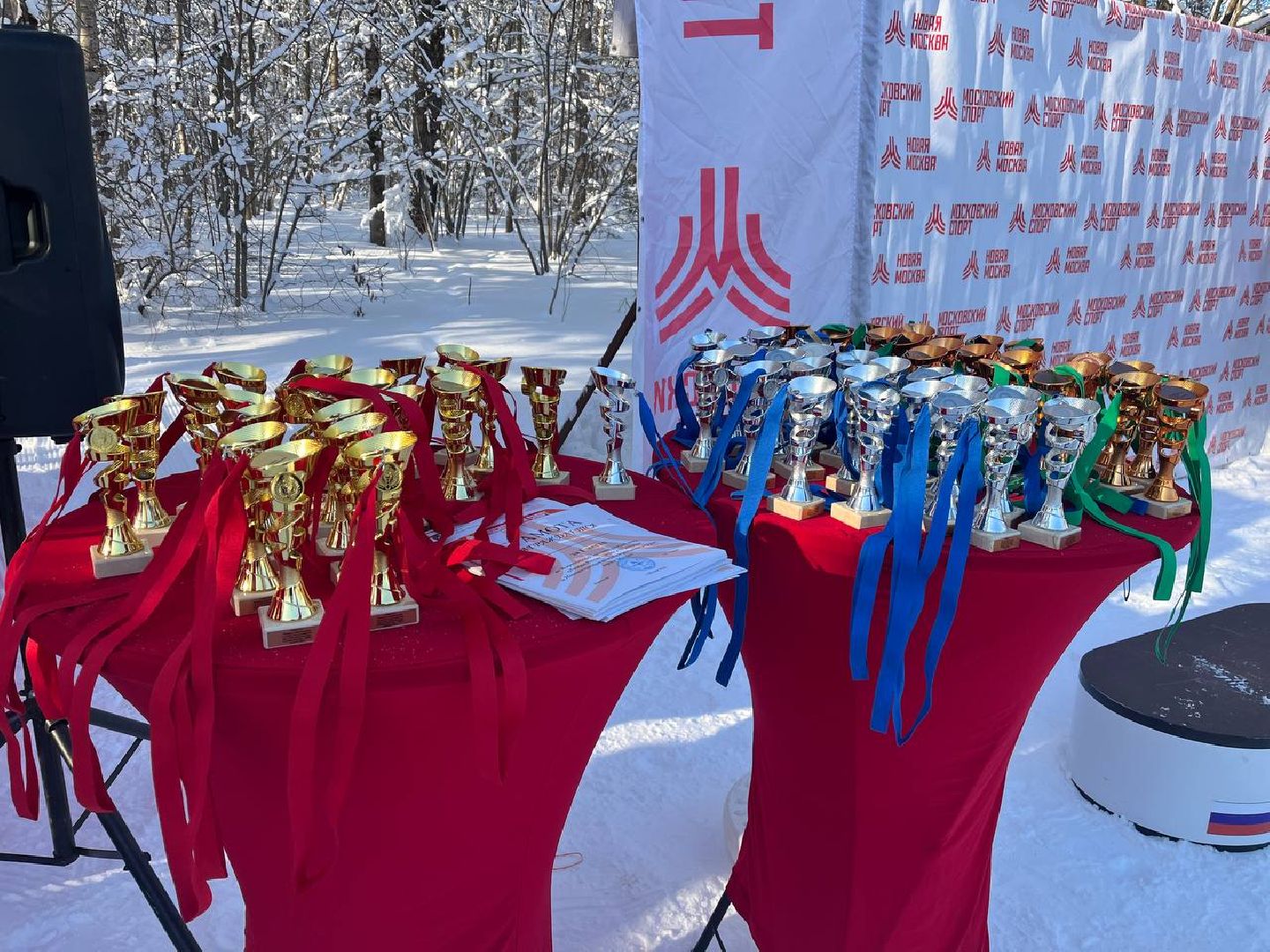 лыжня россии, спорт подмосковья, наро-фоминск,