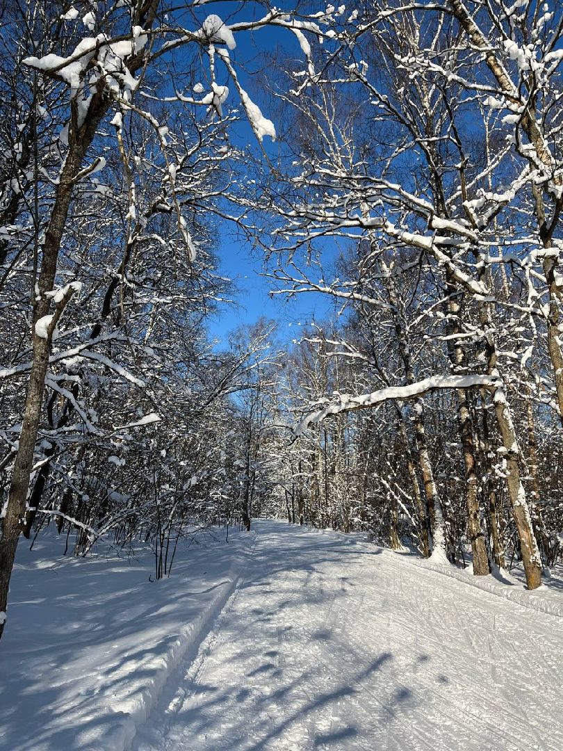 лыжня россии, спорт подмосковья, наро-фоминск,