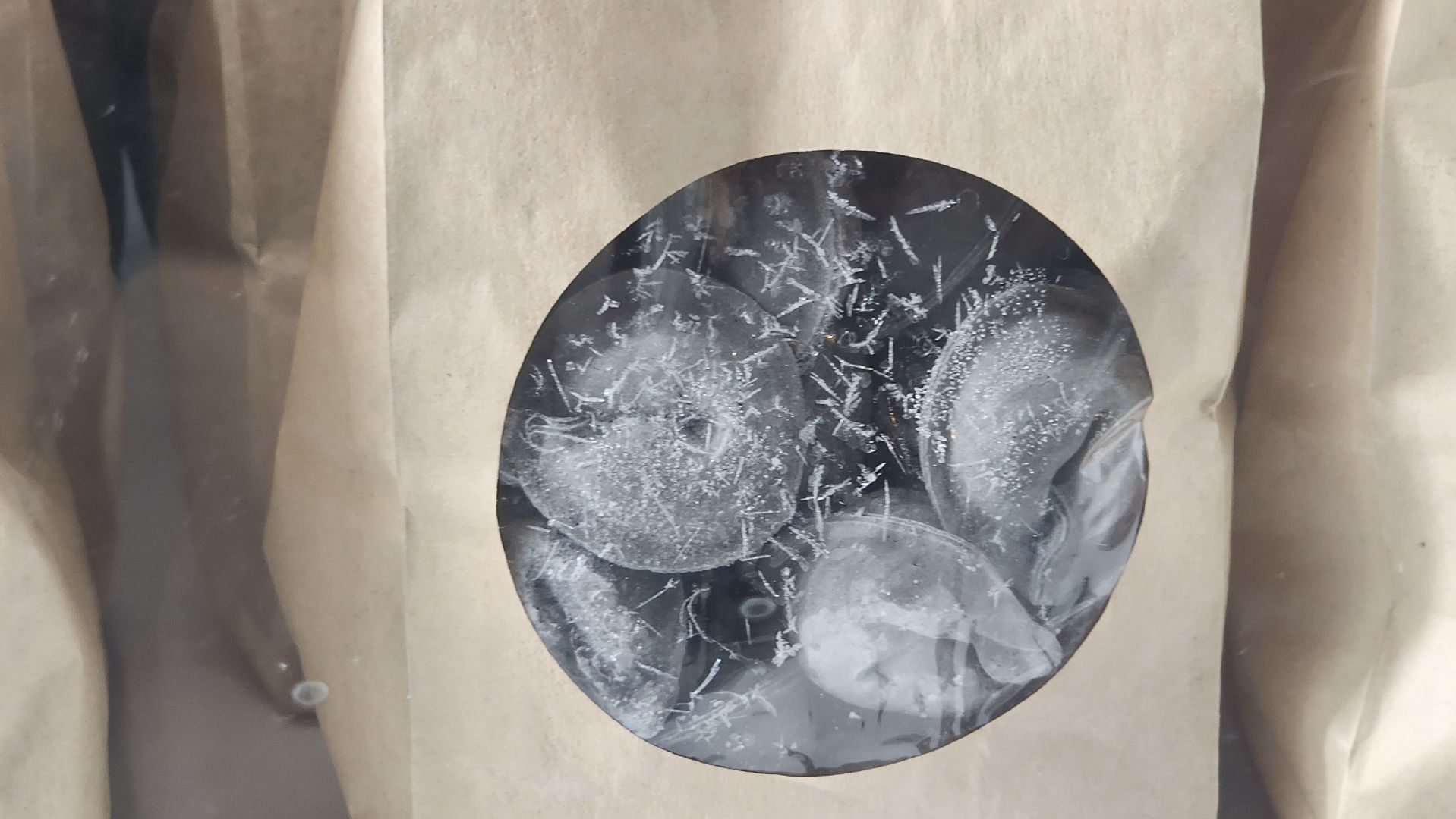 туризм, Пельмени, подольск,