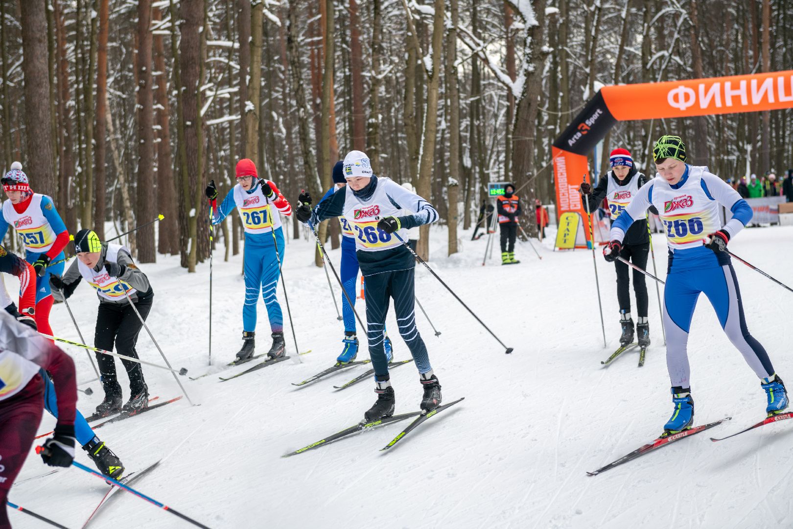 лыткарино, спорт, лыжи, лыжная трасса,