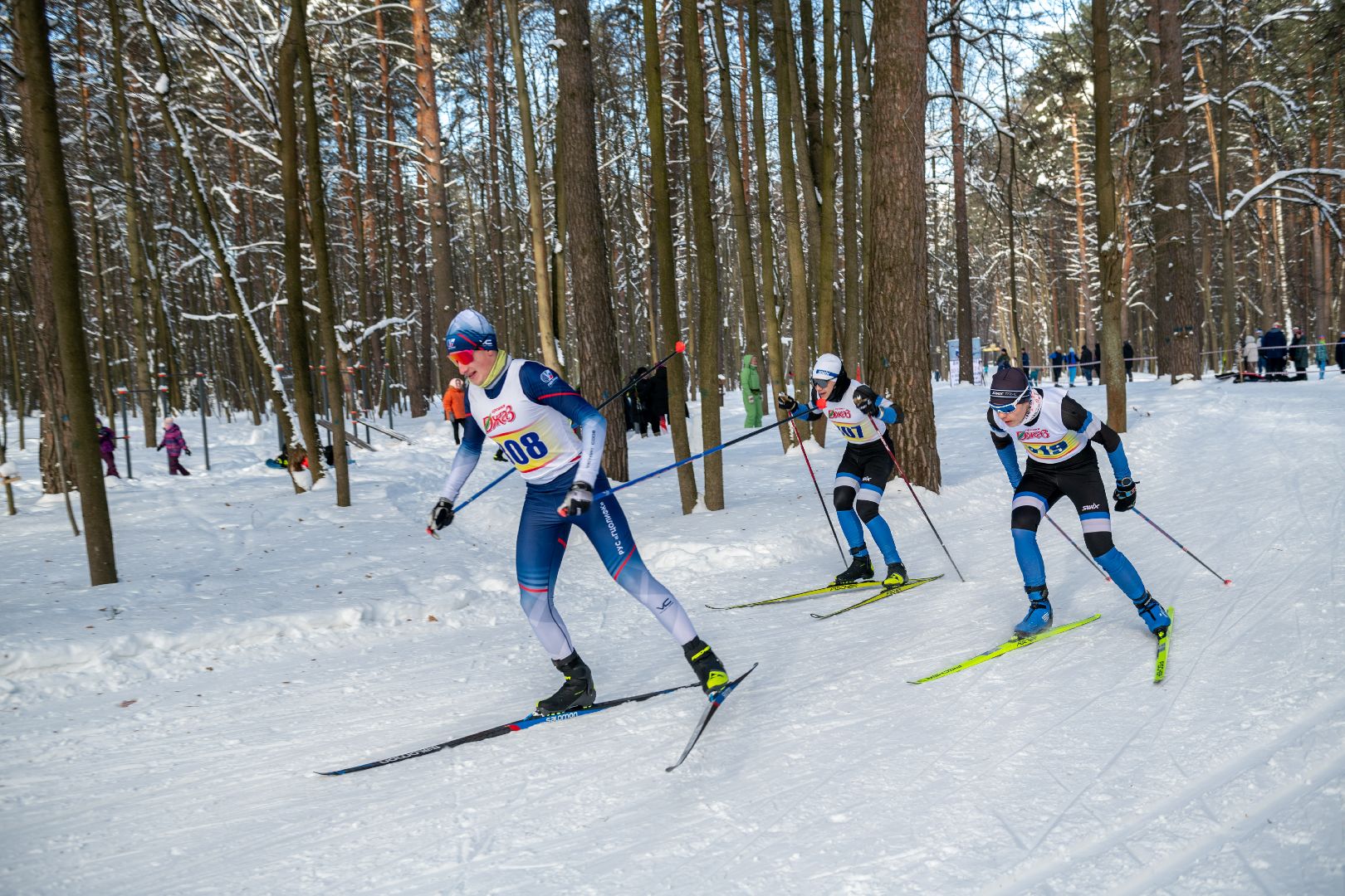 лыткарино, спорт, лыжи, лыжная трасса,