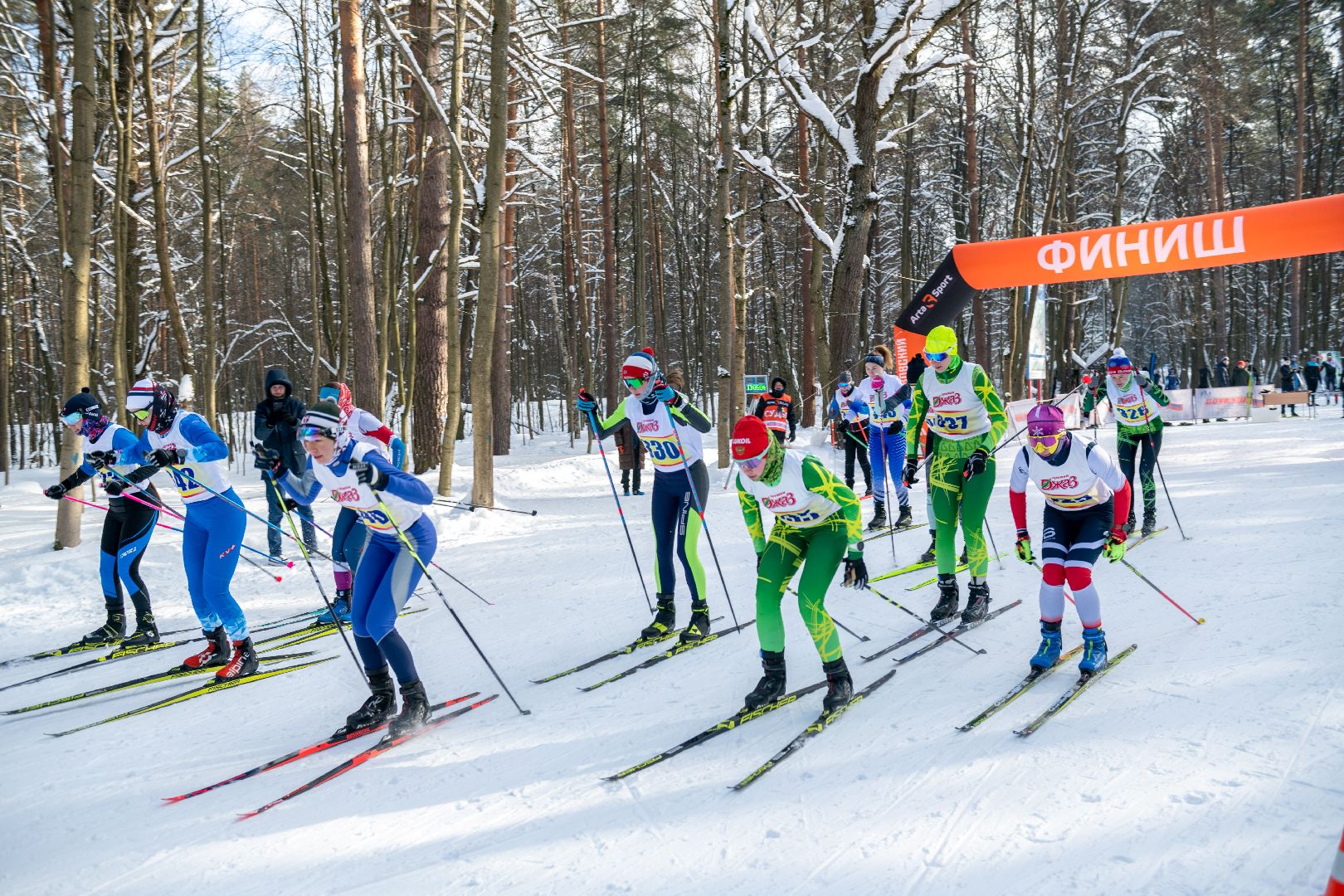 лыткарино, спорт, лыжи, лыжная трасса,