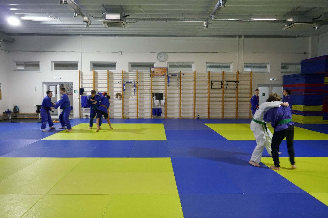 Спорт, дзюдо, победа, турнир