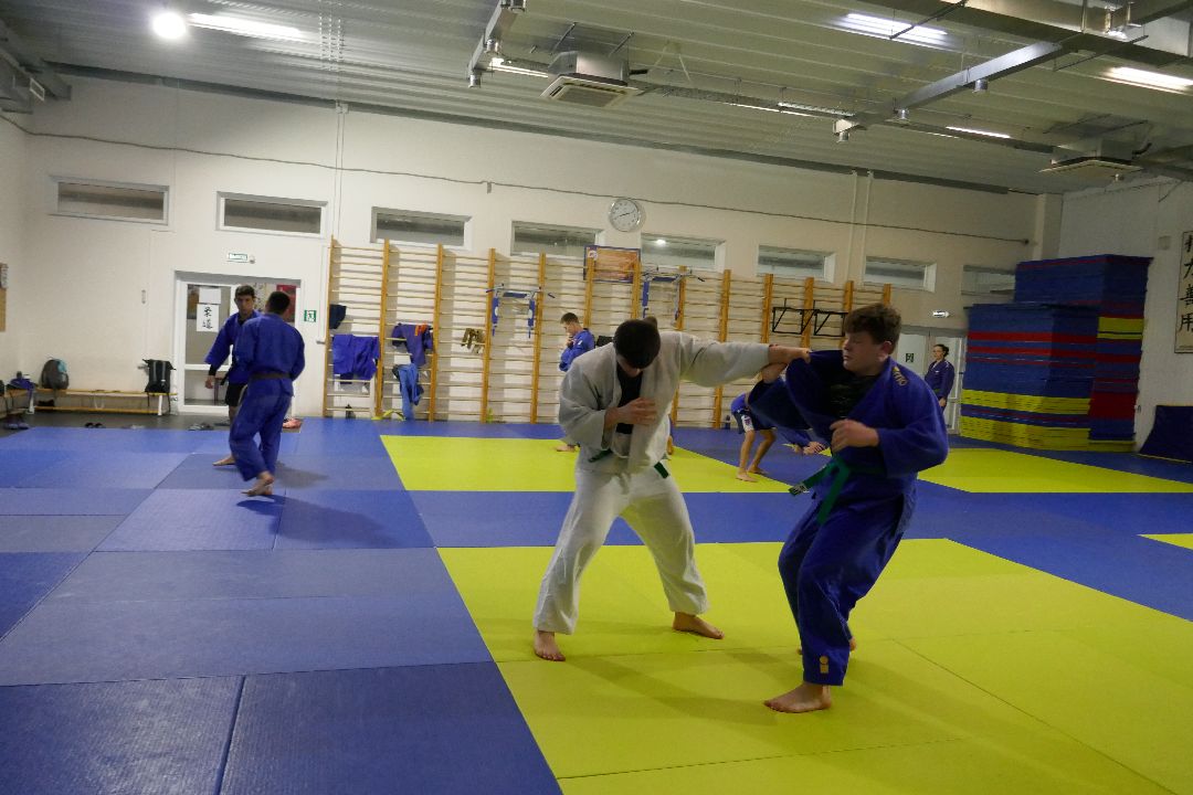 Спорт, дзюдо, победа, турнир