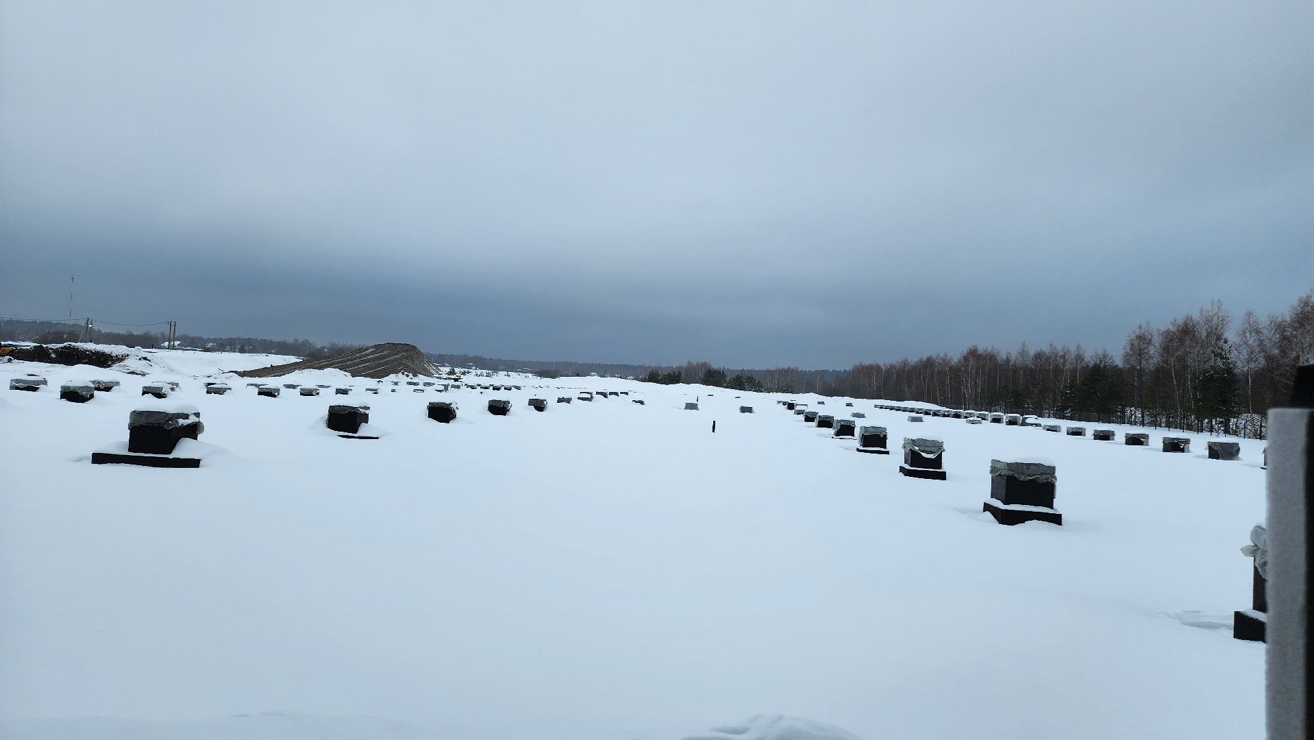 Егорьевск, Машины сладости, Подмосковье, Московская область,