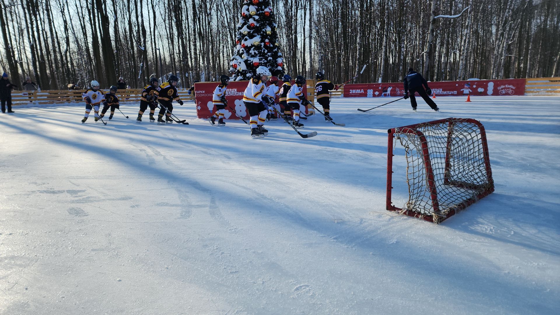 электросталь, электросталь спортивная, мой город, жители города, спорт в подмосковье, спорт подмосковья, фигурное катание, хоккей, хоккей в парке, хоккейный сезон, день спорта,
