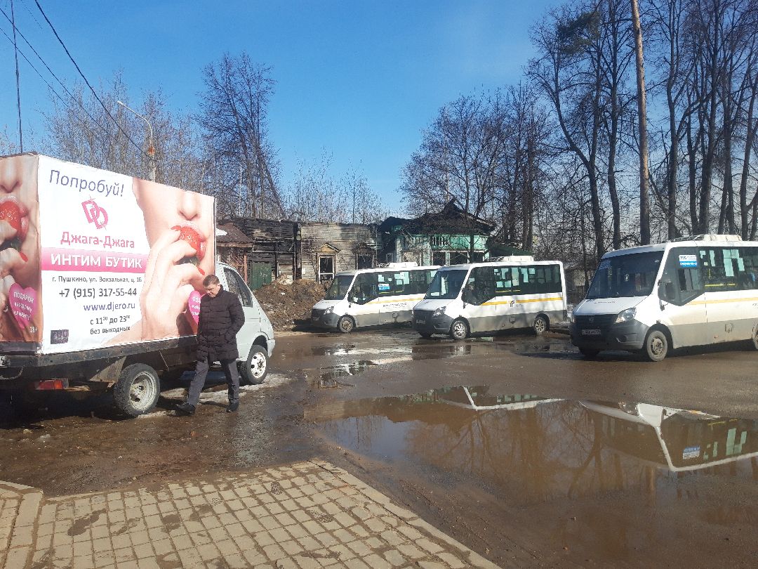 автобусы, путешестия,