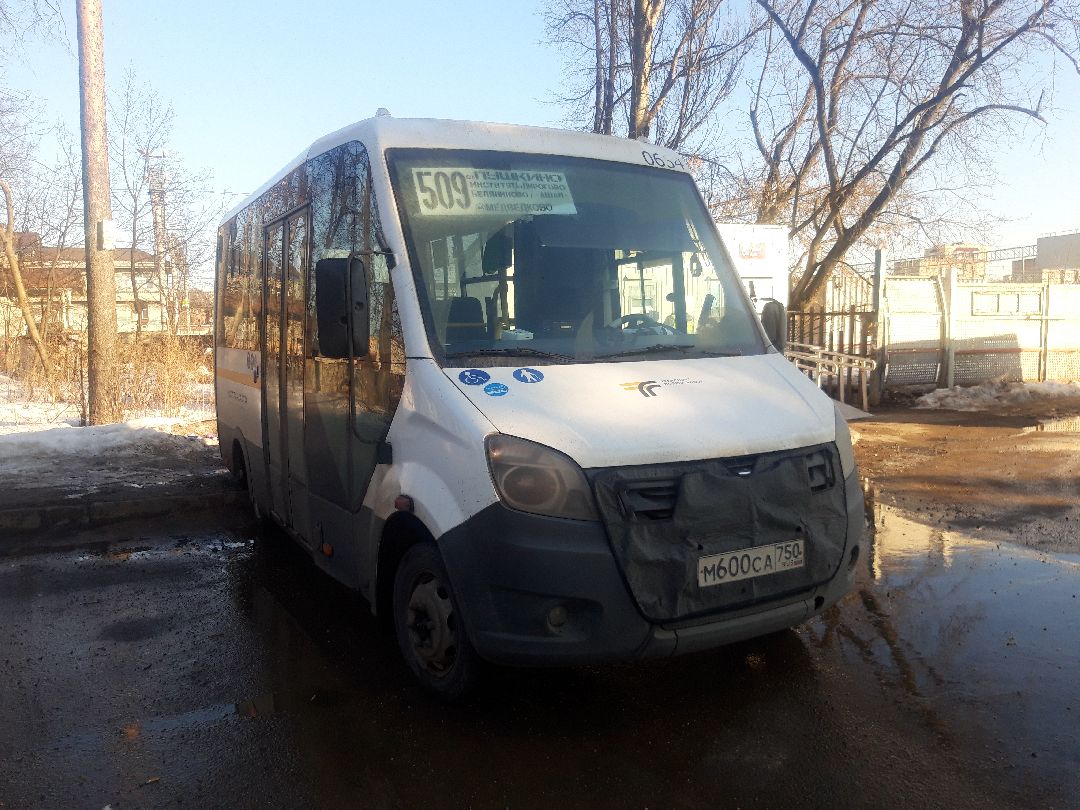 автобусы, путешестия,