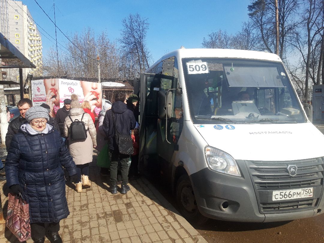 автобусы, путешестия,