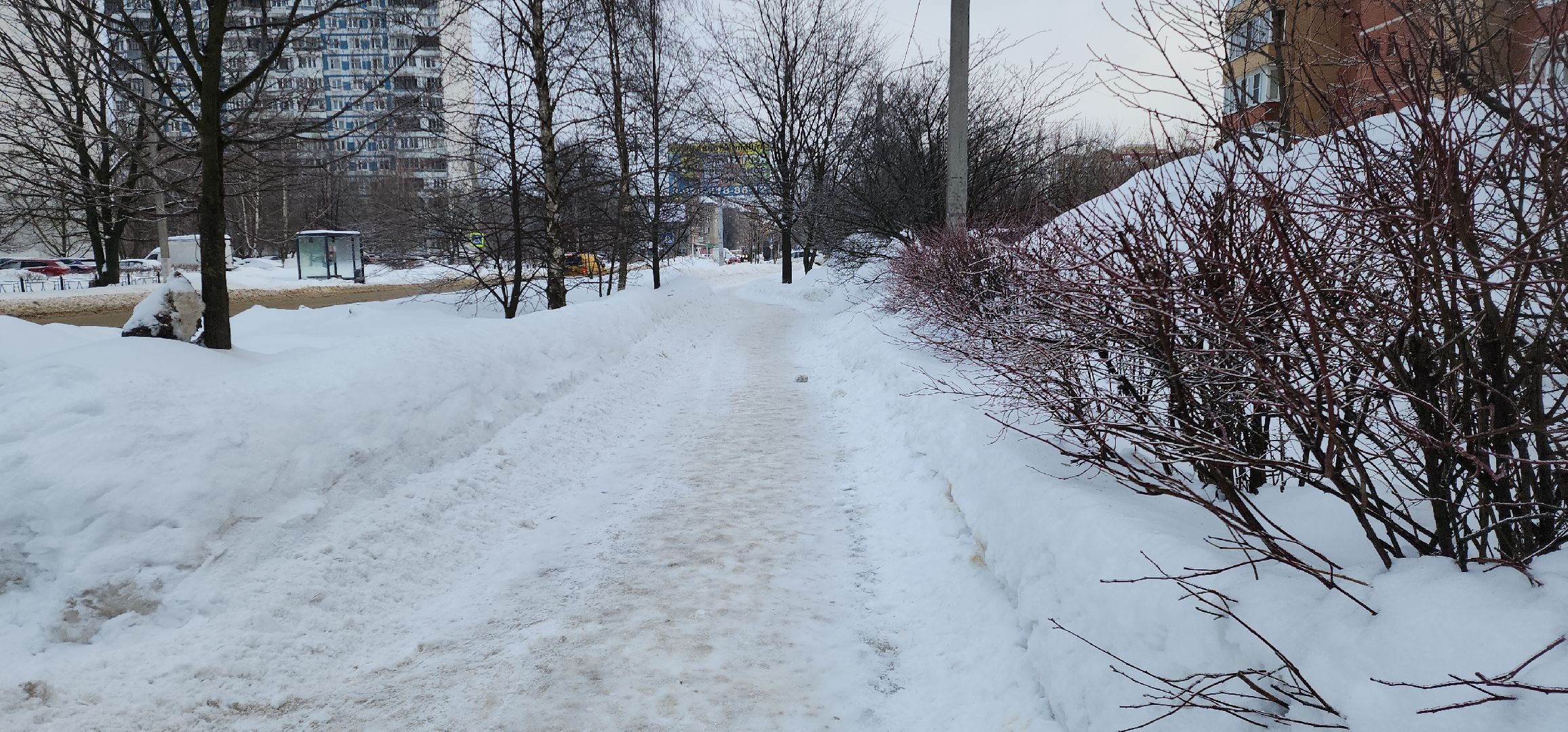 электросталь, жкх, жкх подмосковье, жкх подмосковья, гололед, зима, зима 2024,