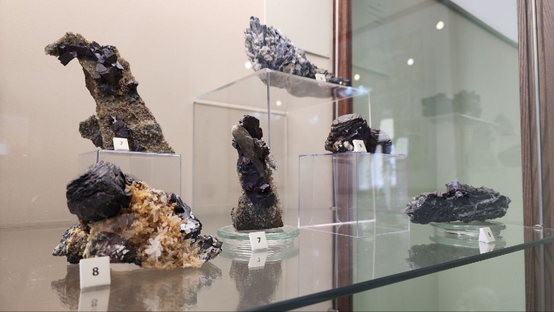 выставка, культура, клин,