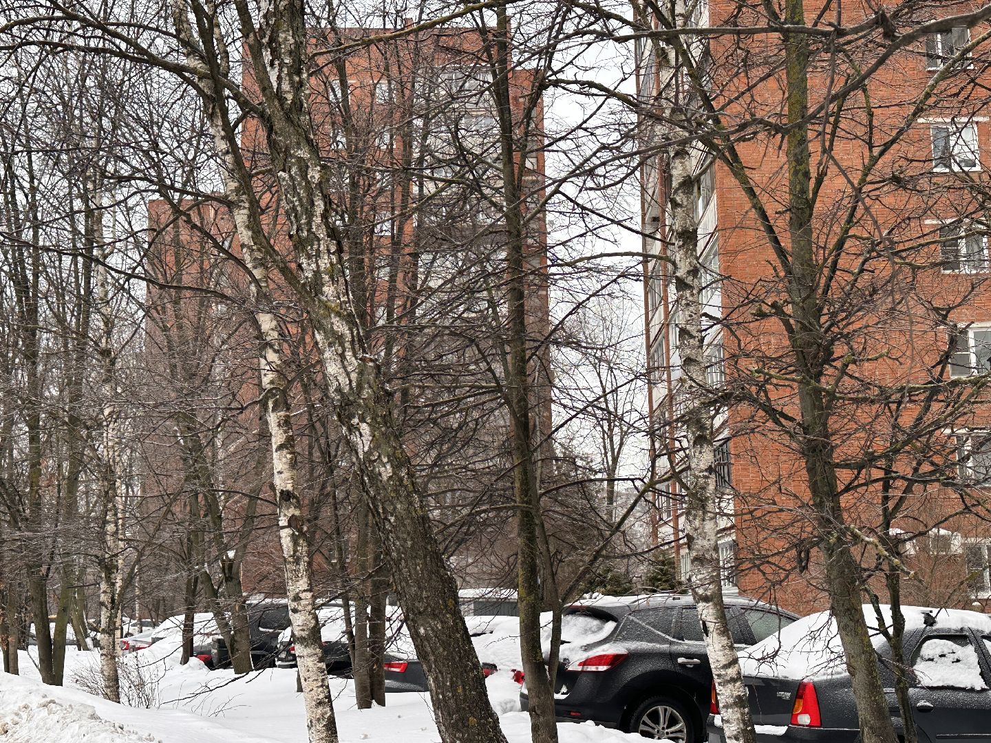 Одинцово, Обработка дорог, Коммунальные службы,