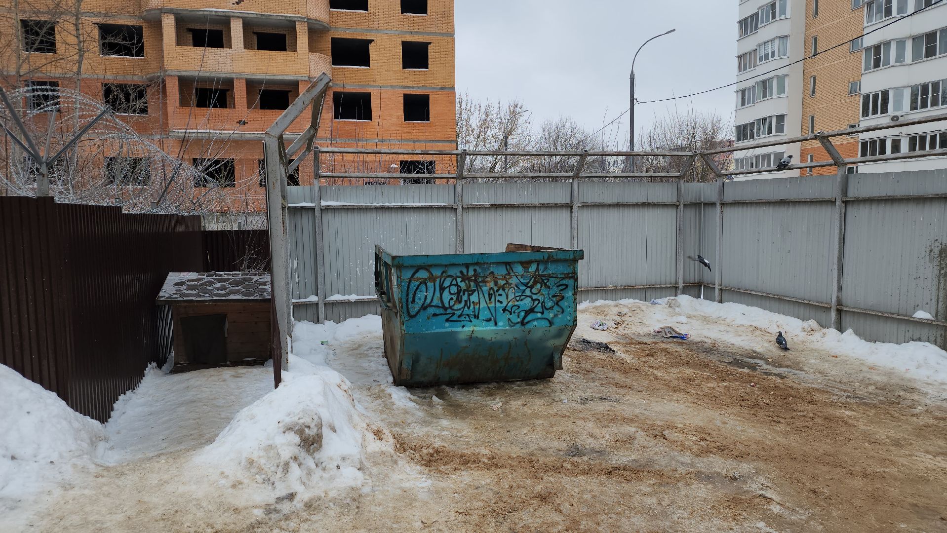 дорожные знаки, контейнерные площадки, двор, серпухов, улица чернышевского,