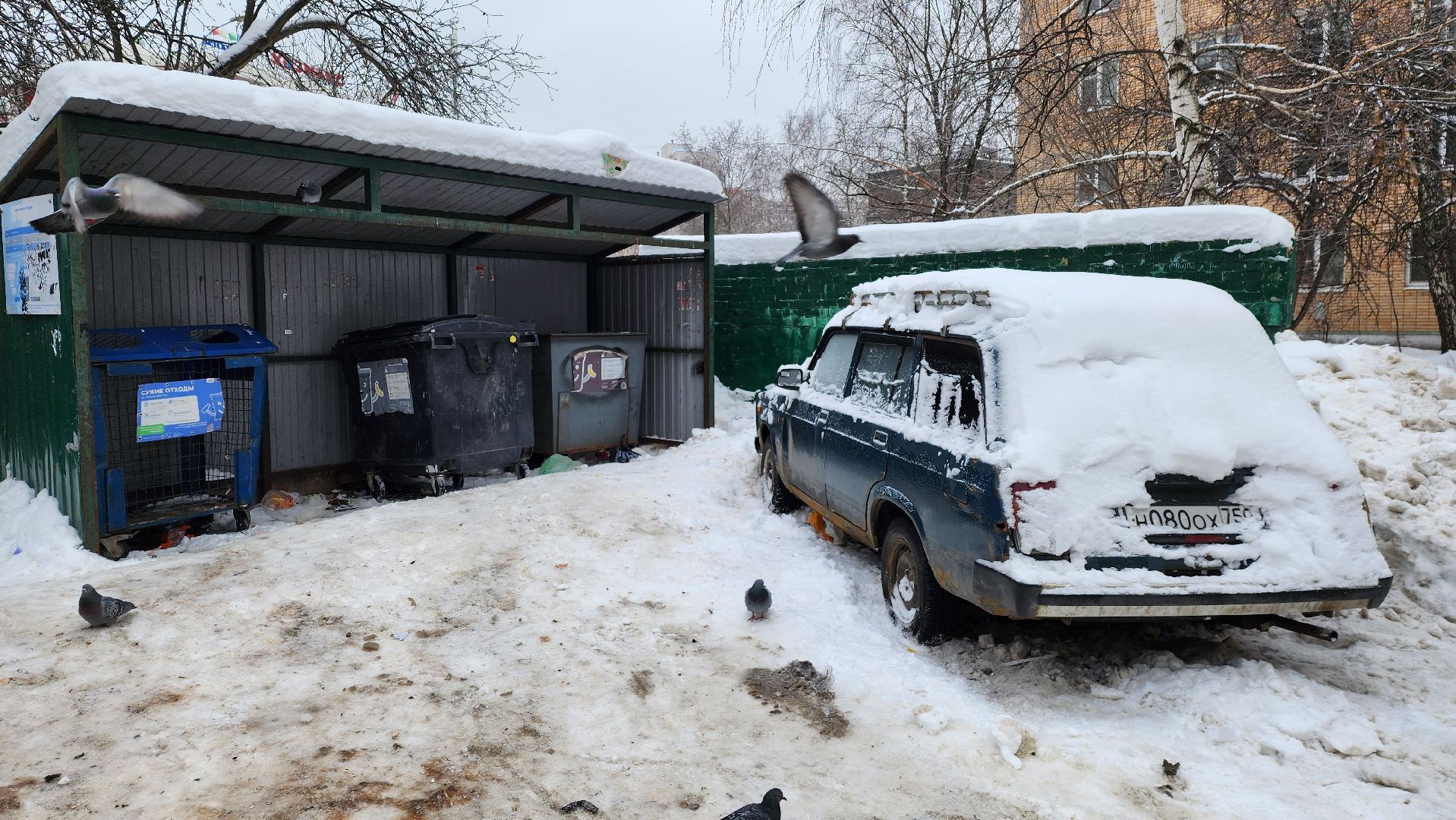 Одинцово, Жкх, Тко, Мусор, контейнер, контейнерная площадка,