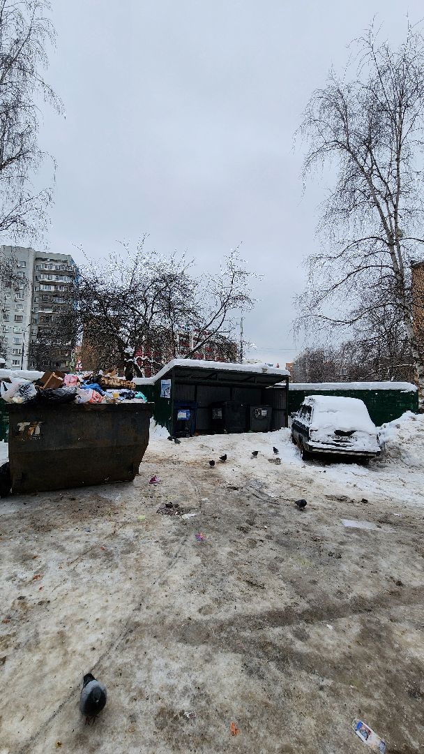 Одинцово, Жкх, Тко, Мусор, контейнер, контейнерная площадка,