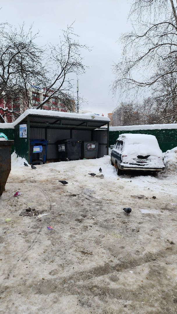 Одинцово, Жкх, Тко, Мусор, контейнер, контейнерная площадка,