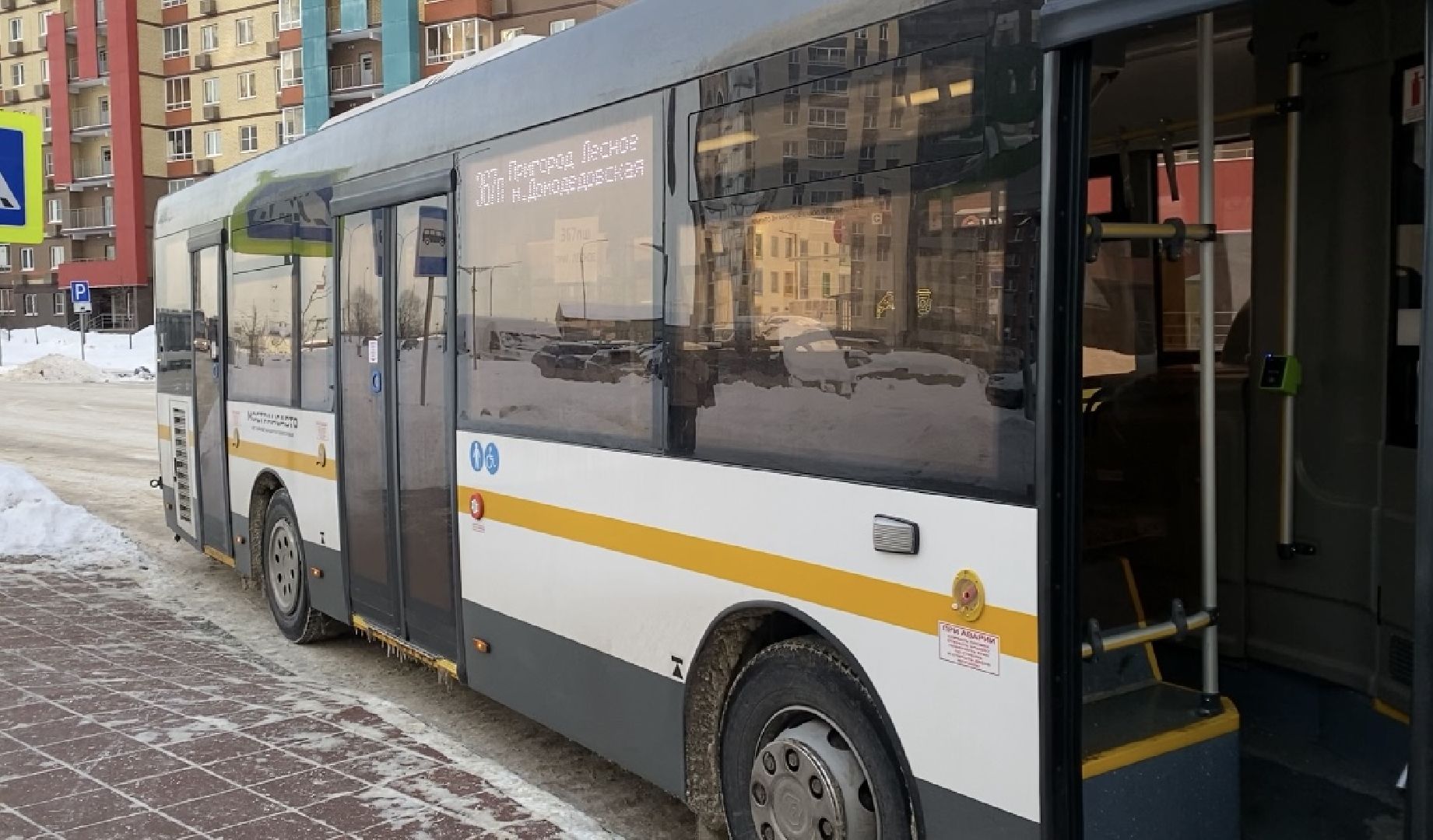 транспорт, автобус, видное,