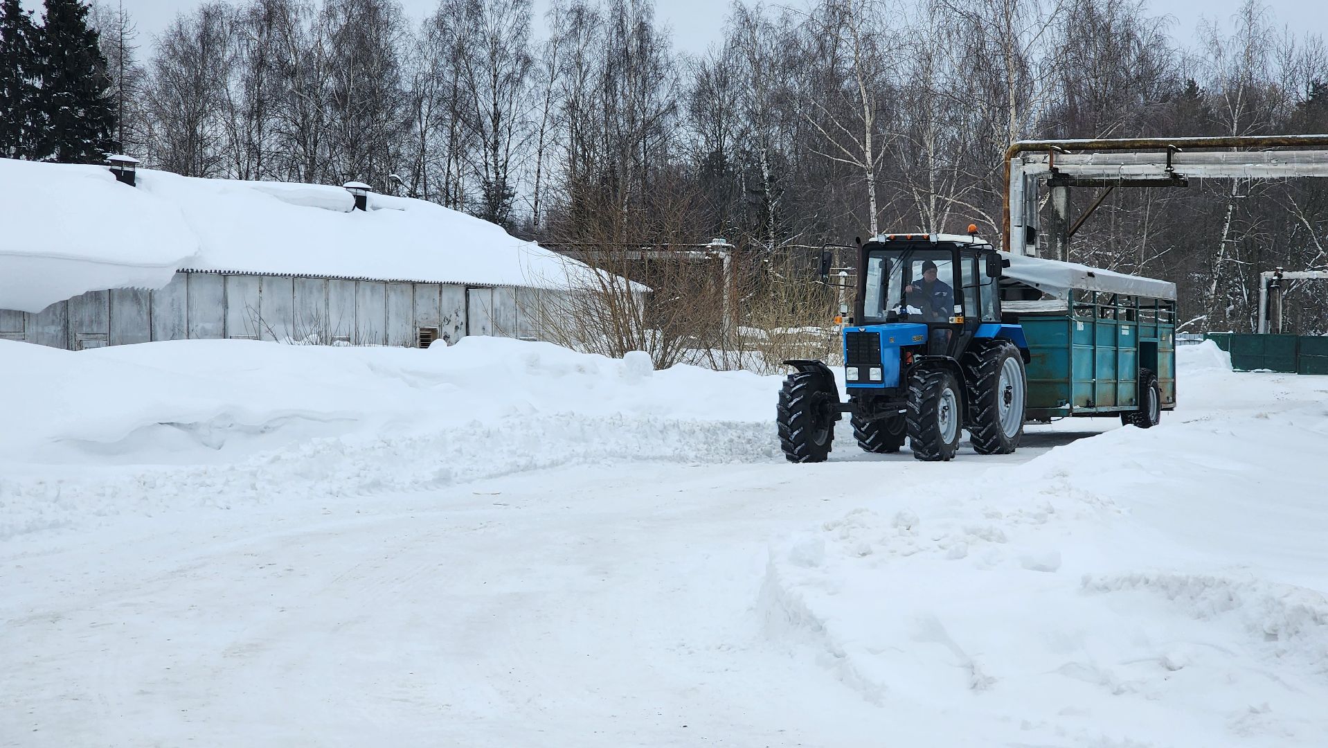 Егорьевск, птицефабрика, Московская область, подмосковье,