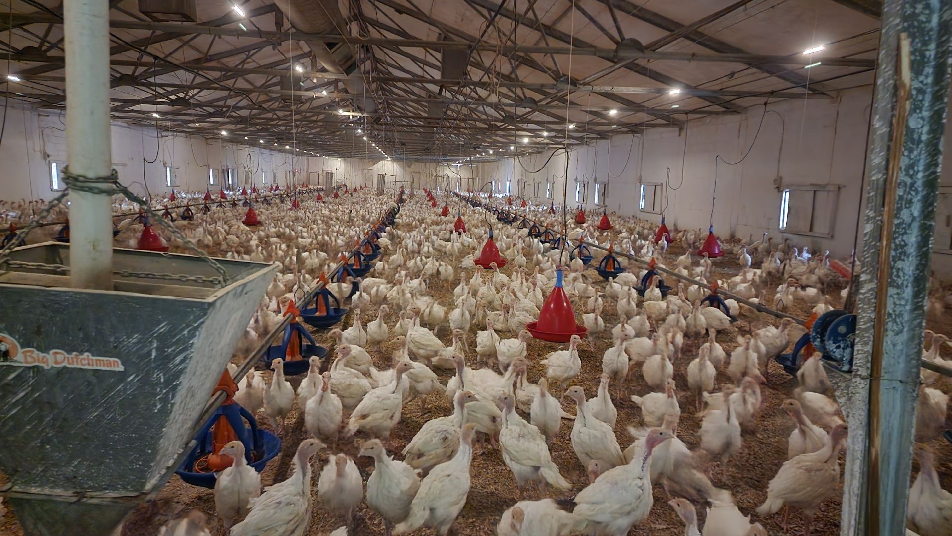 Егорьевск, птицефабрика, Московская область, подмосковье,